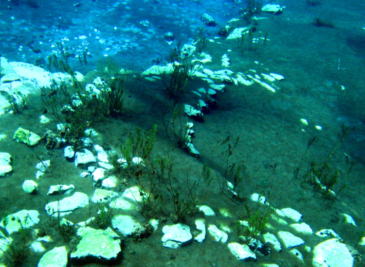 Immersione a Capo D''Acqua (AQ)